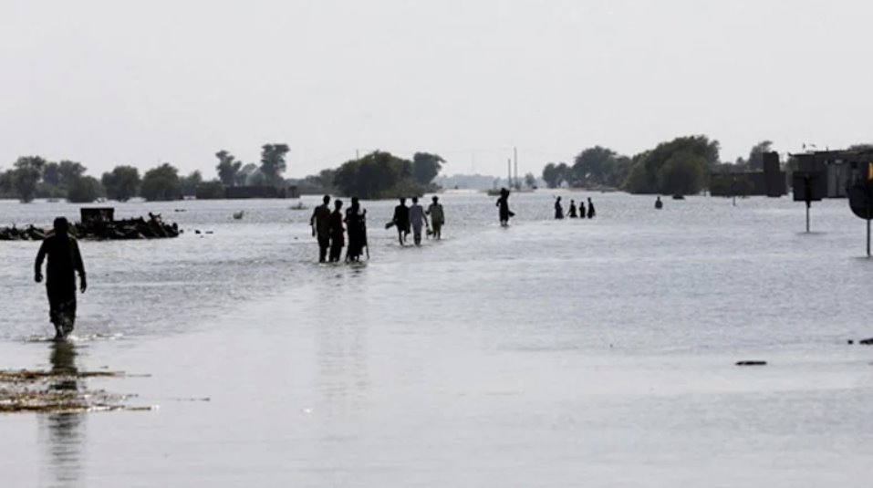 自6月底季风来袭以来，巴基斯坦各地洪水已造成785人死亡。